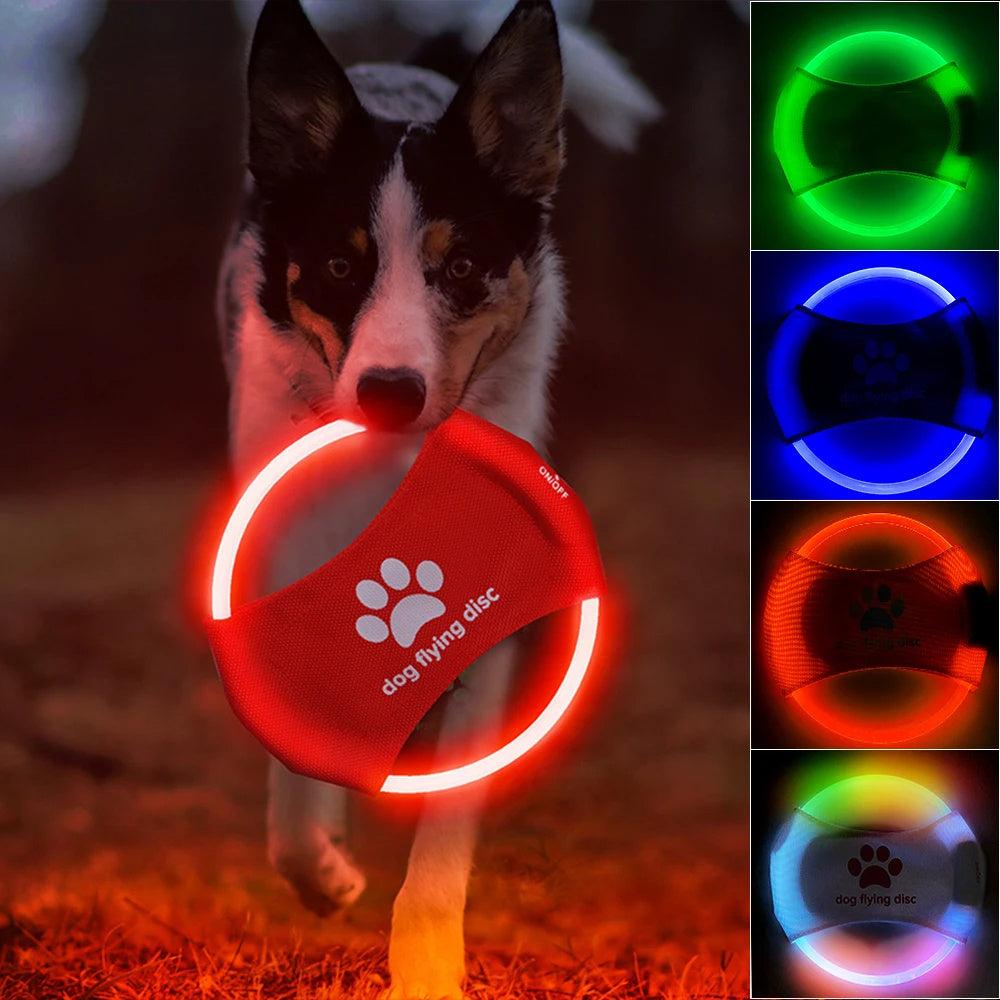 Dog Flying Discs LED Light Glowing